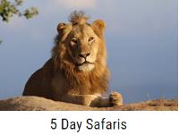 Kruger National Park Safaris Tour operator image 1
